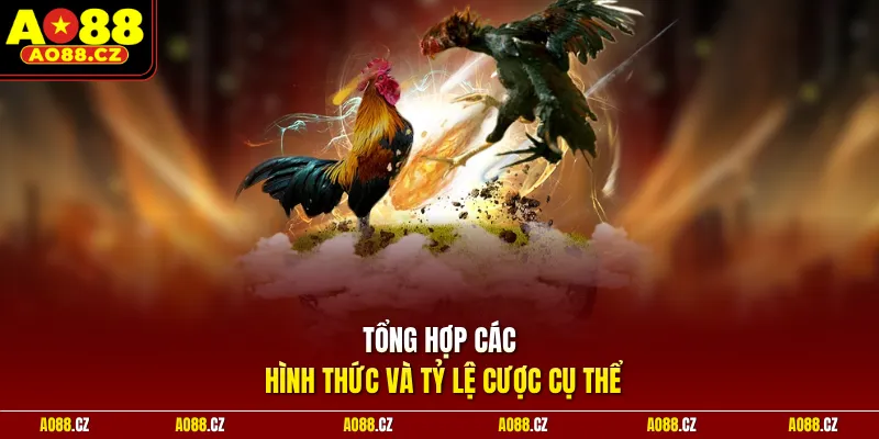 Tổng hợp các hình thức và tỷ lệ cược cụ thể